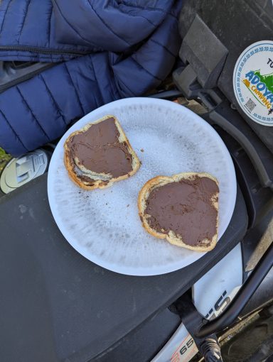 2 Nutella Brote auf einem Teller